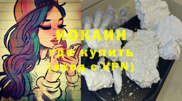 хмурый Арсеньев