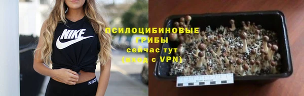 экстази Армянск