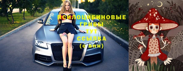 хмурый Арсеньев