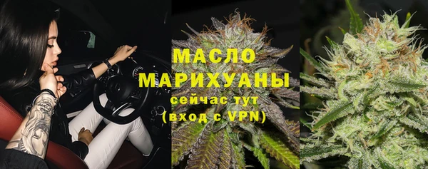 хмурый Арсеньев