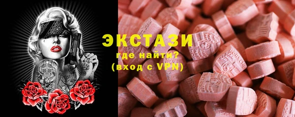 хмурый Арсеньев