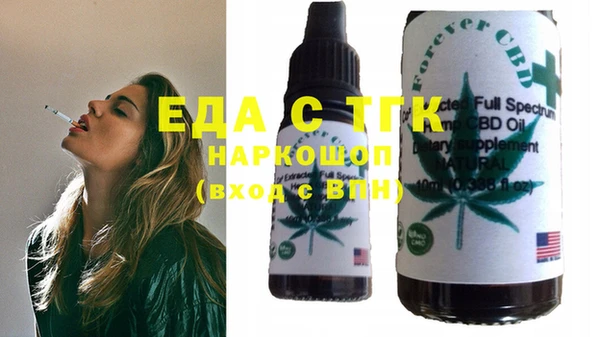 хмурый Арсеньев