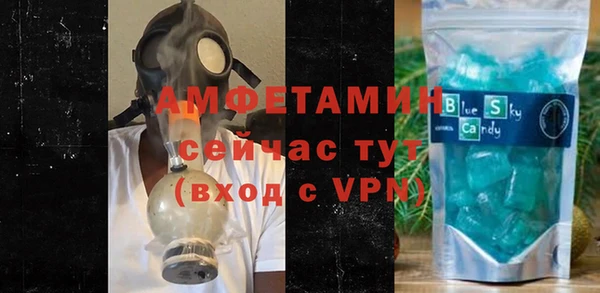хмурый Арсеньев
