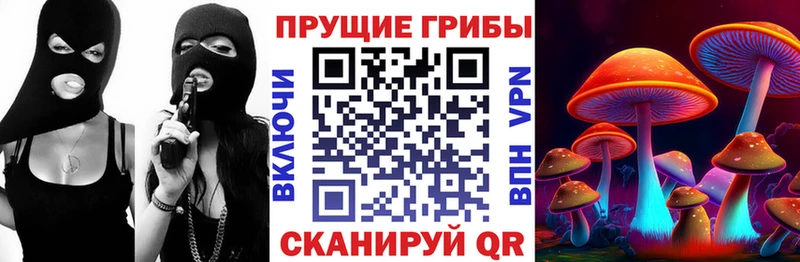 Псилоцибиновые грибы ЛСД  Барыш 